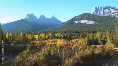 Aerial view beautiful autumn. yellow contrast the evergreen pine tress at the Three Sister mountain in Aberta Canada. Tourism to the mountains in Canada in all season year round. weather change.