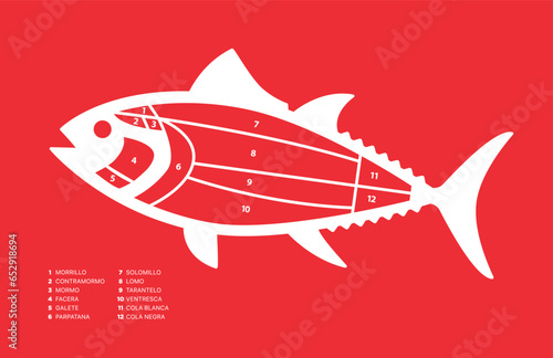 Tuna Cuts diagram on blue background (ronqueo). Parts of tuna written in Spanish.