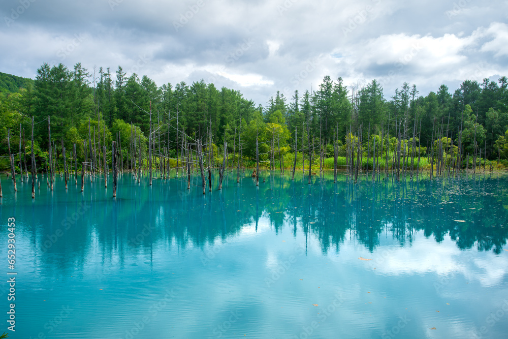 Shirogane blue pond, colour is thought to result from colloidal aluminium hydroxide in the water, Biei, Kamikawa Subprefecture, Hokkaido, Japan