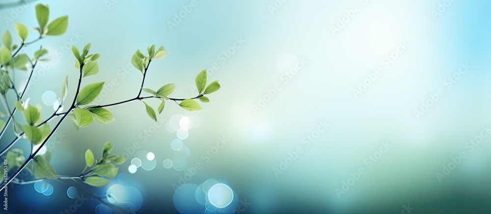 Beautiful bokeh in abstract nature backgrounds