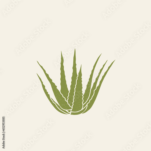 Flat vector aloe vera illustration