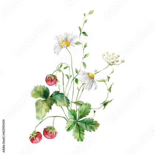 Watercolor meadow flowers bouquet of raspberry and chamomile. Hand painted floral illustration isolated on white background. For design, print, fabric or background. Poster for interior.