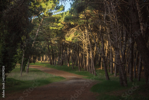 parque sol y nubes photo