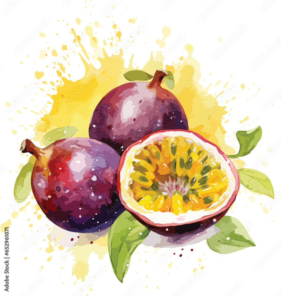 Watercolor Passion Fruit Isolated White Background, Vector Illustration ...