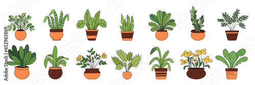 Collection of houseplants, colored outline. Hand drawn houseplant with outline isolated on white background. Vector illustration.