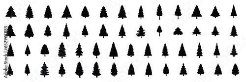 Large collection of pine trees silhouette. Han drawn fir trees silhouette. Vector illustration.