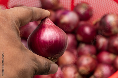 Onion of the Hand hold with blur background
