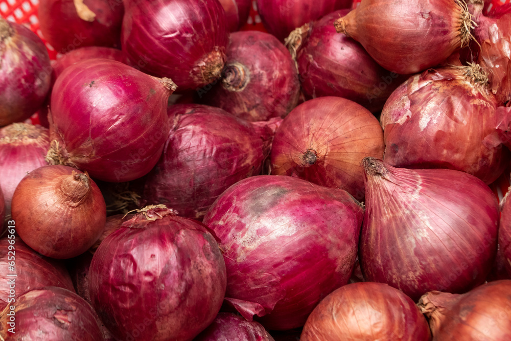 Onion texture background close up Onion texture background close up