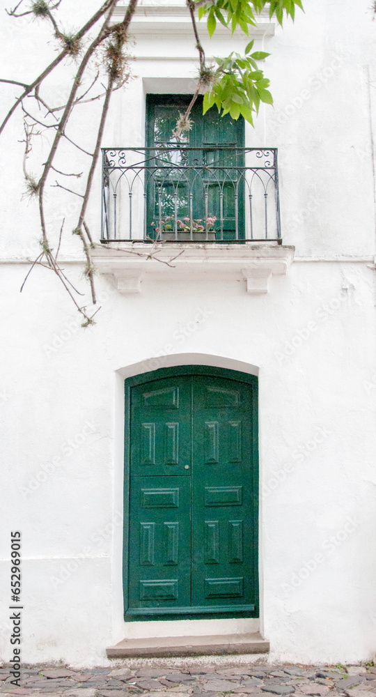 Fototapeta premium old wooden door in a wall