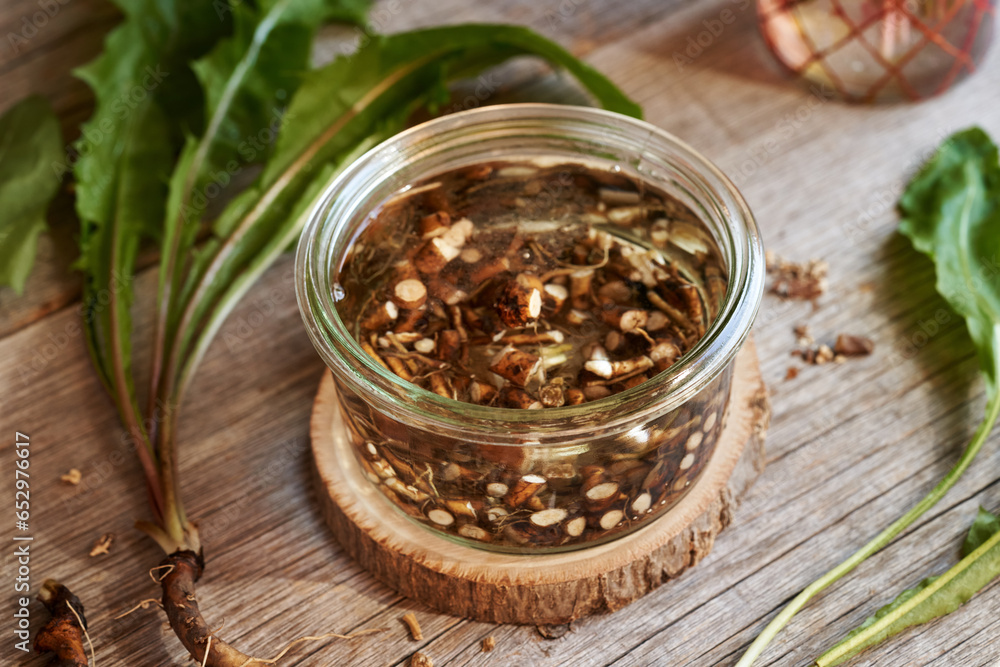 Fototapeta premium Preparation of homemade dandelion root tincture