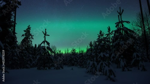 A time lapse of the aurora borealis lights illuminating the starry sky behind snowy trees in winter in Pirkanmaa, Finland