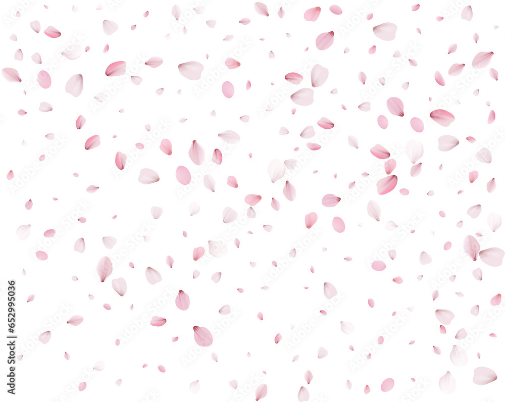 Sakura petals in a colorful spring swirl. Sakura petals in a colorful spring swirl.