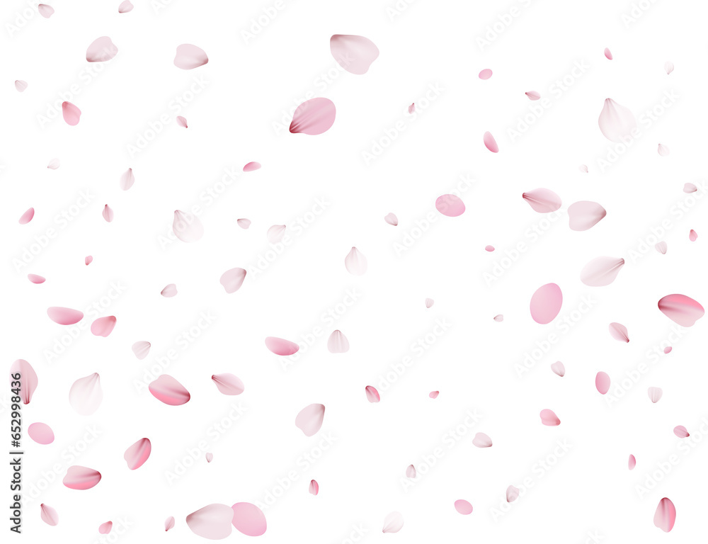 Festive background with pink cherry blossom petals.