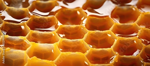 Background photo of royal jelly production with full opened queen cells and an alternative medicine concept