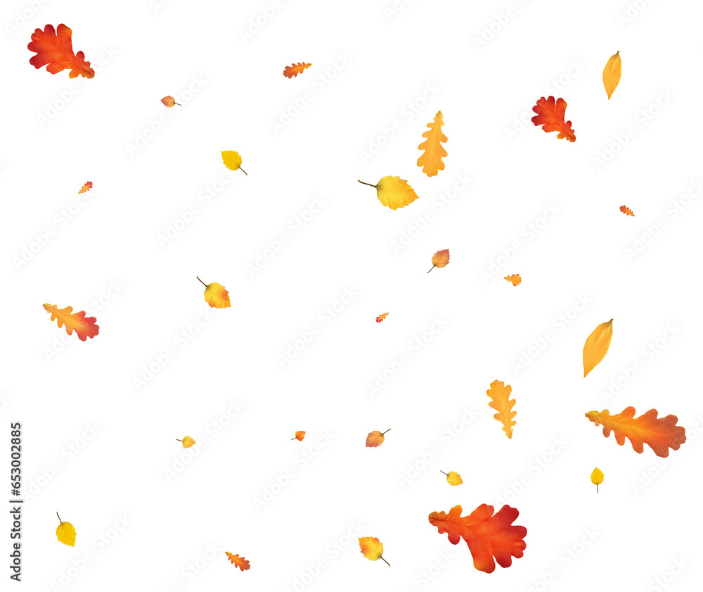 Many autumn leaves are swirling in the wind. Many autumn leaves are swirling in the wind.
