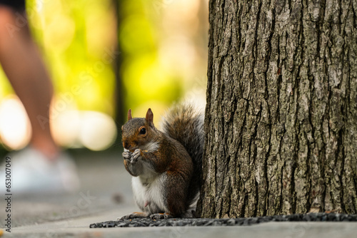 Estilo de vida en Nueva York