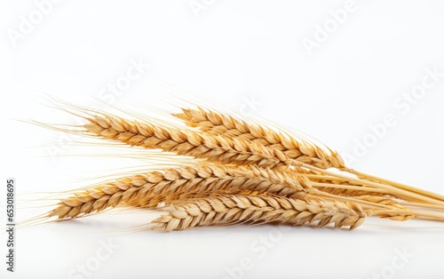 Wheat on white background. Generative AI