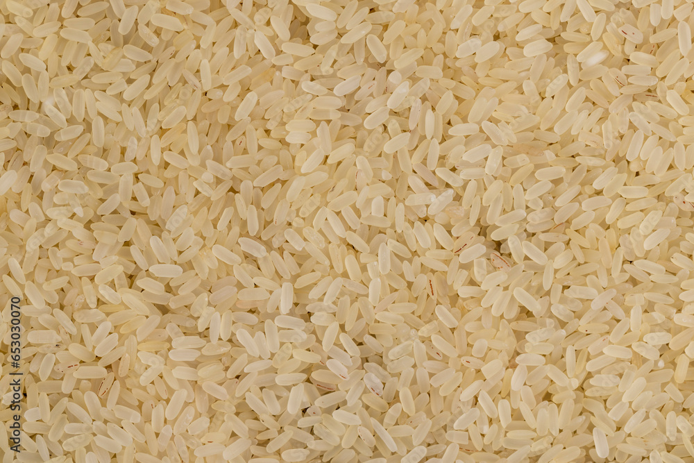 a large amount of uncooked fresh polished rice a large amount of uncooked fresh polished rice