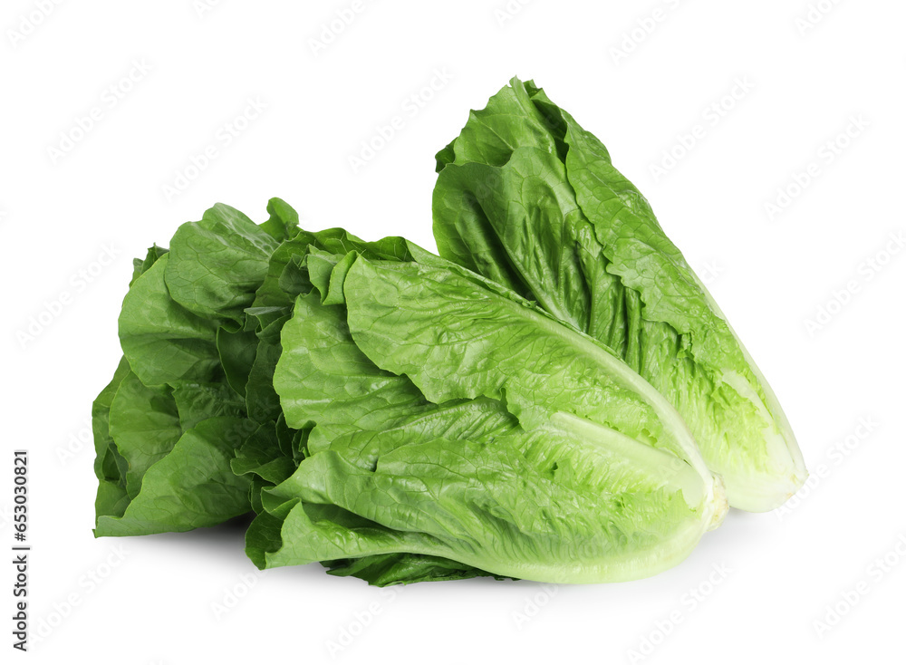 Fresh green romaine lettuces isolated on white Fresh green romaine lettuces isolated on white