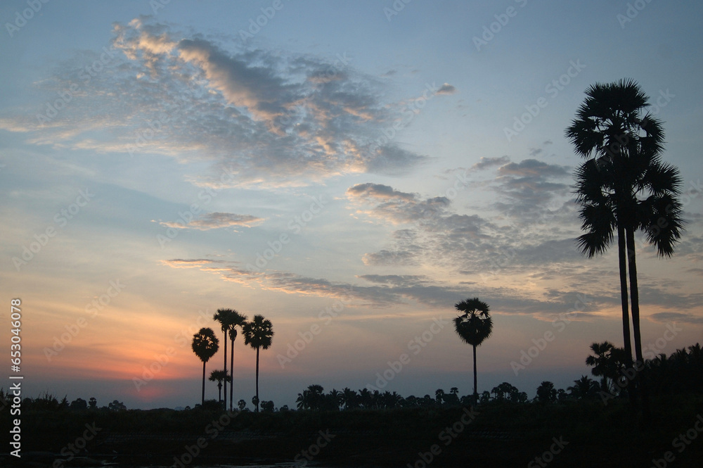 tropical sunrise