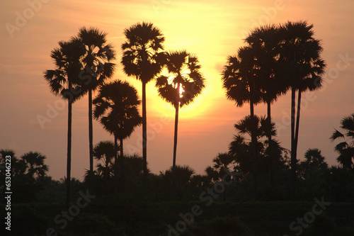 tropical sunrise © Lakeview Images