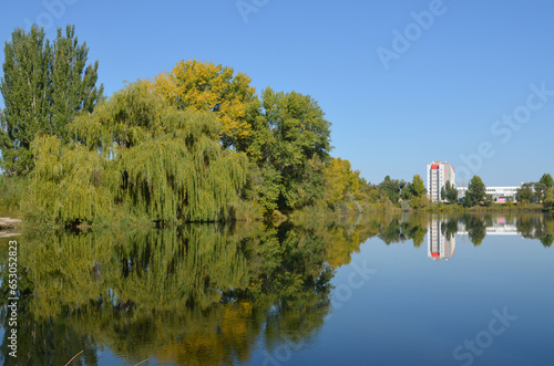 Autumn landscapes of Balakovo. Willow by the pond.