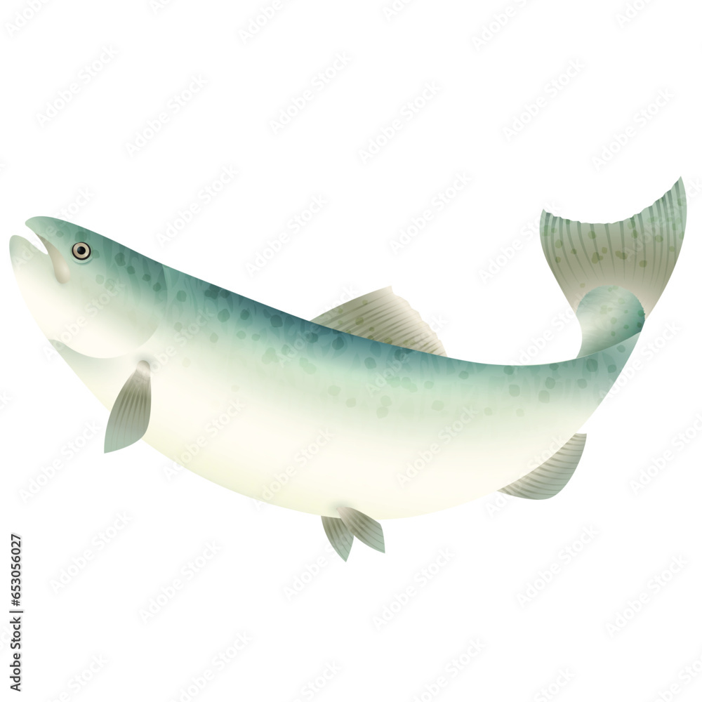 Fototapeta premium White Spotted Green Fish | Seafood Series