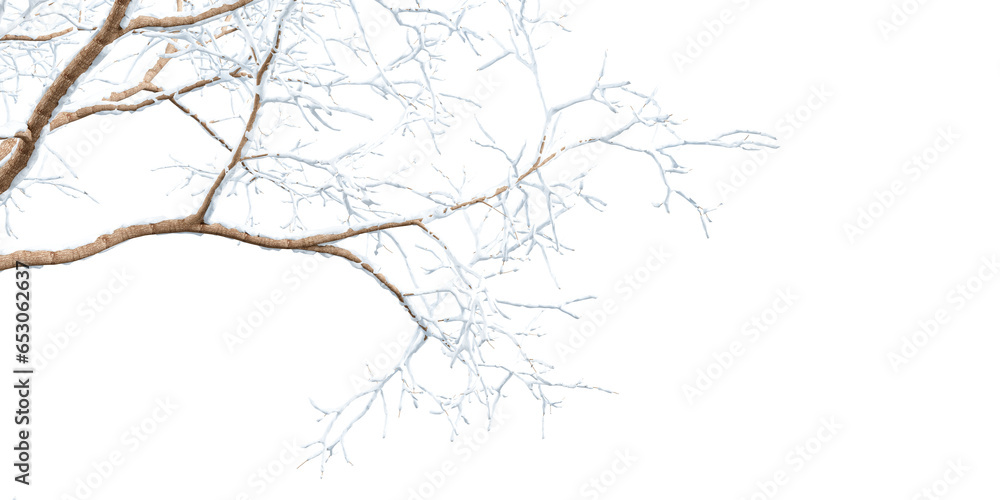 Snow tree branch isolated on white background Snow tree branch isolated on white background
