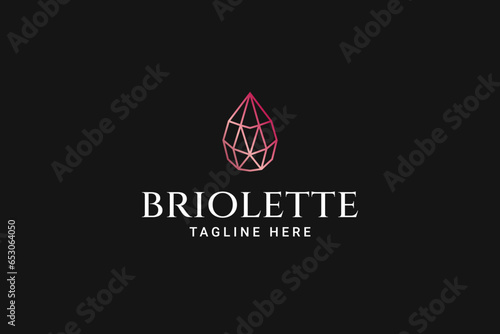 briolette jewelry modern concept logo design template for jewelry, boutique and wedding business photo