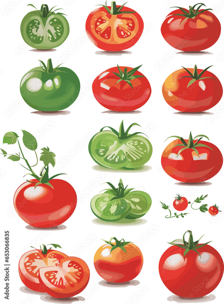 Set of tomatoes isolated vector red and green with soft lighting and shadow Set of tomatoes isolated vector red and green with soft lighting and shadow