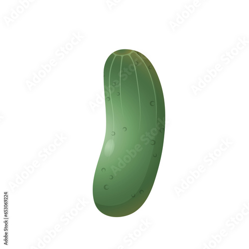 Mini Green Cucumber | Vegetable Series