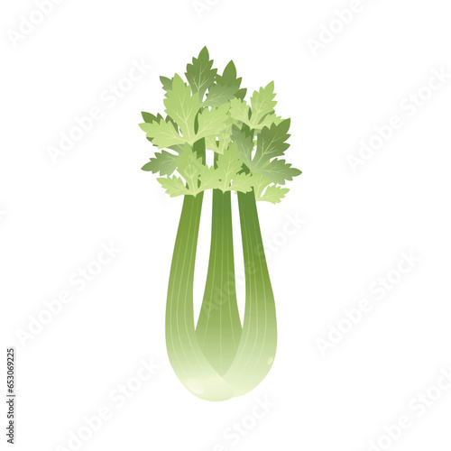 Long Green Celery | Vegetable Series