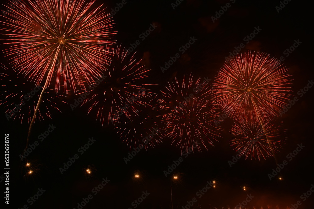 fireworks in the night sky fireworks in the night sky