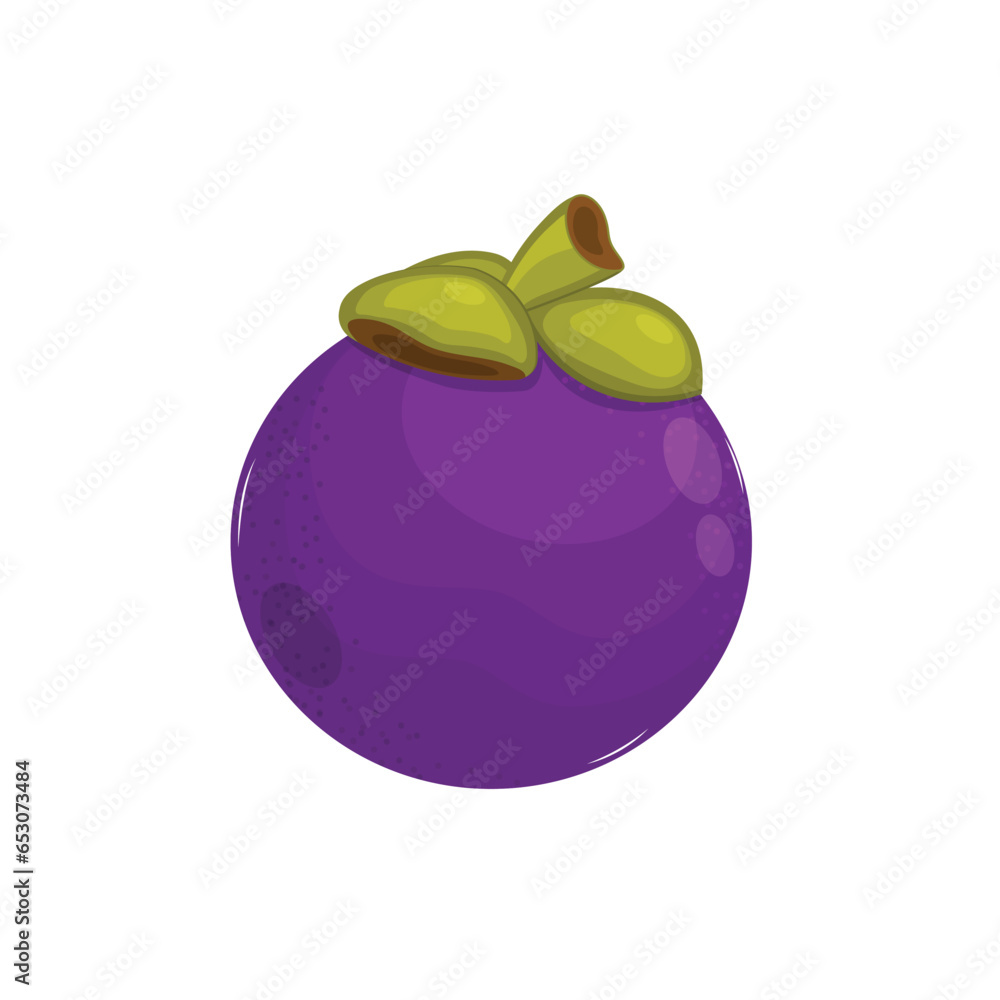 Purple Mangosteen | Fruity Fruits Purple Mangosteen | Fruity Fruits