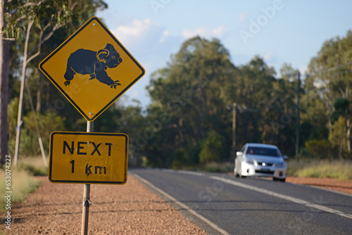 Fototapeta Naklejka Na Ścianę i Meble -  koalas cross here