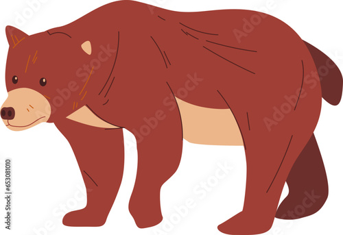 bear