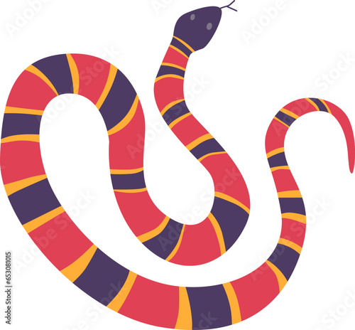 coral snake