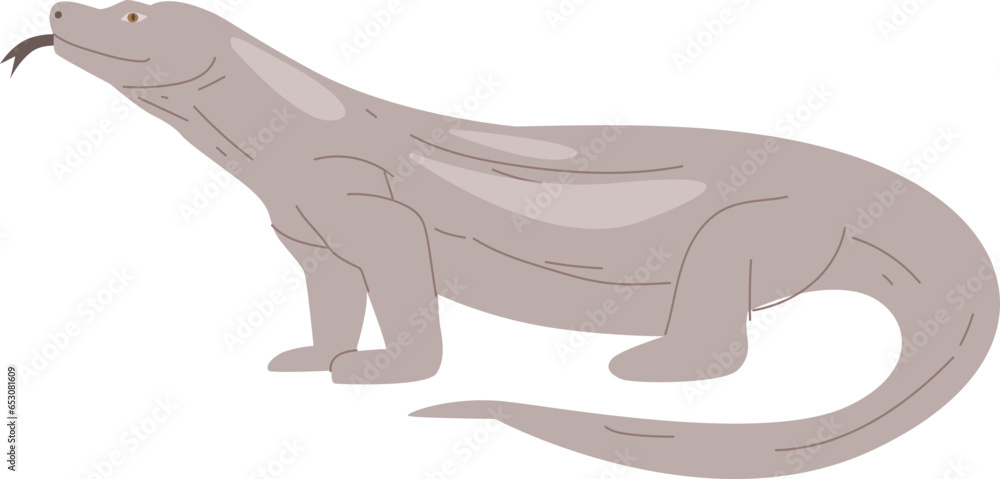 komodo komodo