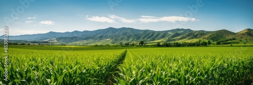 a green corn field with hills in the background, generative AI