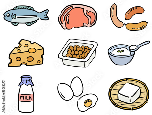 タンパク質　イラストセット　栄養