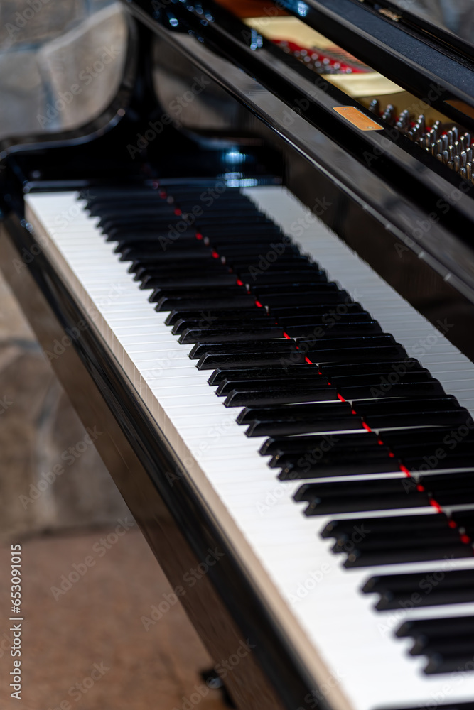 grand piano keyboard close-up details grand piano keyboard close-up details