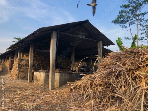 Indonesian traditional system of cane sugar industry