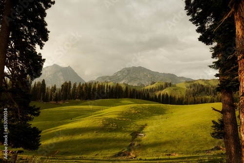 Beautiful mountain scenery. In-depth trip on the Nafran Valley Trek in Jammu and Kashmir, India
