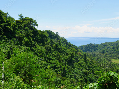 View of green hills on a tropical island. Small hills covered with jungle and tropical rainforest.