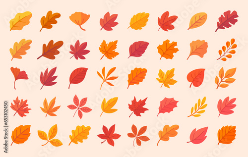 Autumn leaf collection Orange maple leaves in autumn simple design