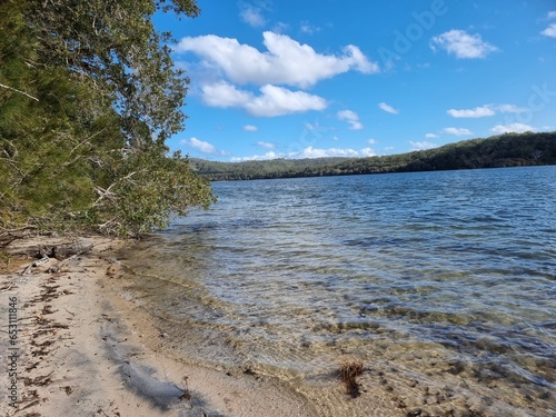 Fototapeta Naklejka Na Ścianę i Meble -  Trees growing on the shore of Smiths Lake in the Myall Lakes National Park New South Wales Australia