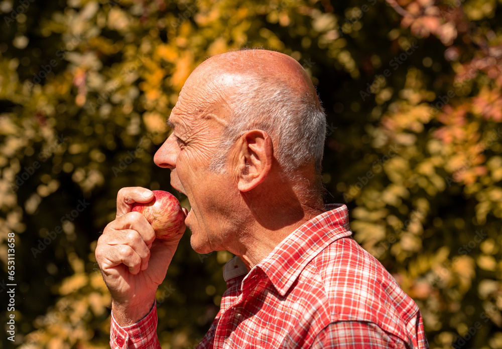 Older man picking up apples and enjoying the taste.
