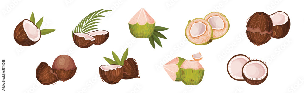 Coconut Fruit Cracked with Brown Husk Vector Set Coconut Fruit Cracked with Brown Husk Vector Set