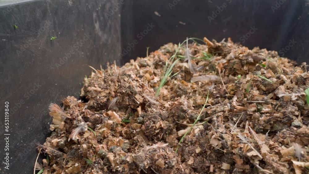 Natural ecological fertilizer for garden soil from sawdust and bird droppings, close-up Natural ecological fertilizer for garden soil from sawdust and bird droppings, close-up