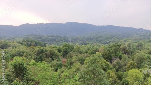 Natural View Of Dense Tropical Forest Under The Mountains, In The City Of Muntok, Indonesia photo